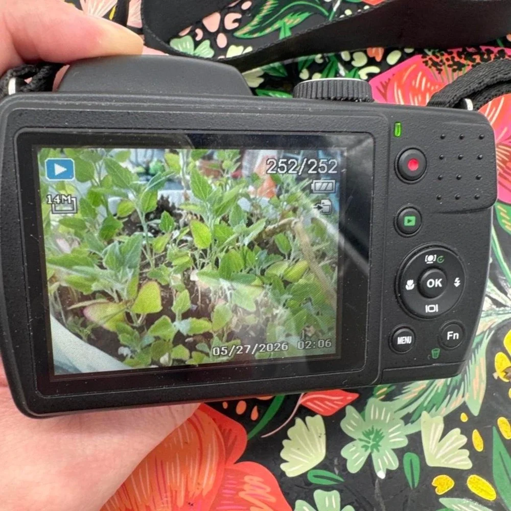 Sanyo VPC-E2100 Digital Camera – Compact Point-and-Shoot Camera